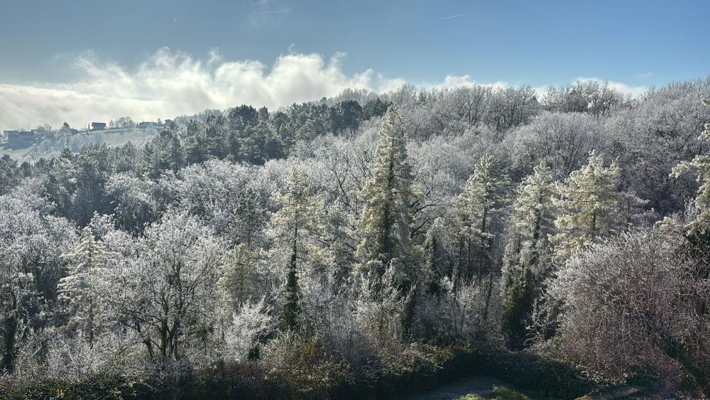 Xmas time landscaping