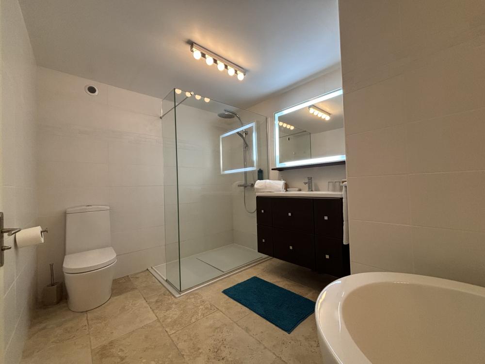 The separate flat on the groundfloor - the full bathroom