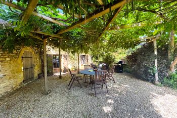 The terrace is covered from the wisteria and remains very cool 