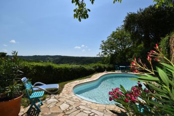 the pool at La Falaise