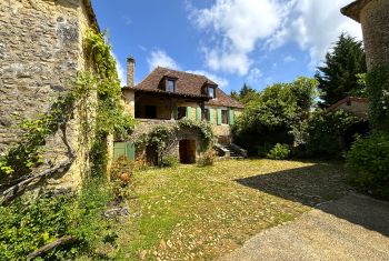 The House 