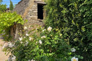 The garden has been designed by the landscaper of the Marqueyssac's gardens