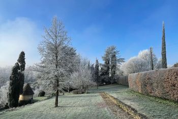 Xmas time landscaping