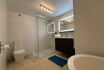 The separate flat on the groundfloor - the full bathroom